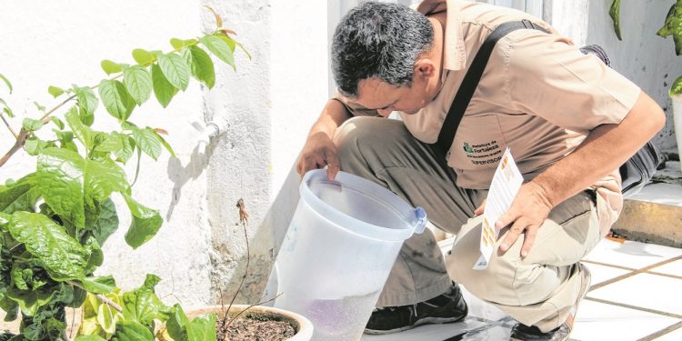Casos confirmados de dengue têm redução de 85% no Ceará