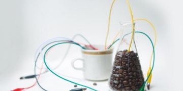 O efeito da cafeína na gordura marrom foi observado in vitro e em voluntários (Imagem: Getty Images)