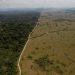 Desmatamento e mudanças climáticas podem dividir a floresta amazônica, revela estudo