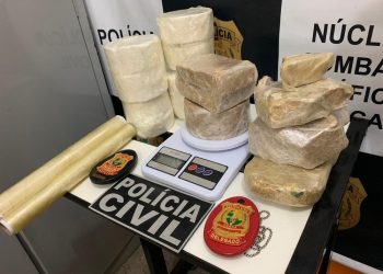 Depósito de drogas é fechado pela Polícia Civil em Juazeiro do Norte