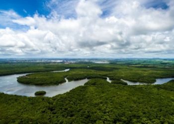 Principal doadora, Noruega diz que Bolsonaro não pode alterar fundo bilionário da Amazônia ‘sem consentimento’