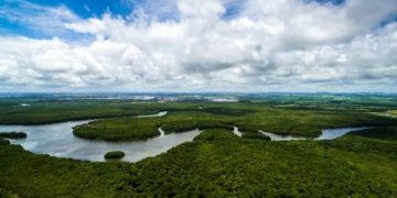 A Floresta Amazônica é questão central no debate ecológico internacional (Foto: Getty Images)