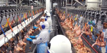 Funcionários no frigorífico da BRF em Marau, no Rio Grande do Sul (Foto: MPT-RS/Divulgação)