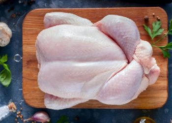Carne de frango com salmonela: como fazer para se proteger?