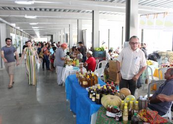 Parque de Exposições Pedro Felício Cavalcanti deve se tornar multiuso