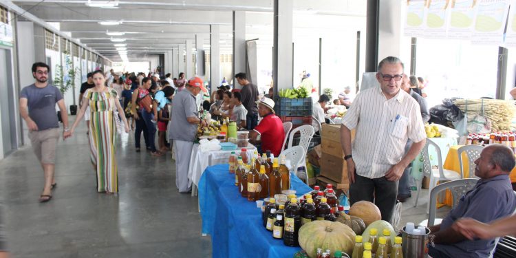 Parque de Exposições Pedro Felício Cavalcanti deve se tornar multiuso