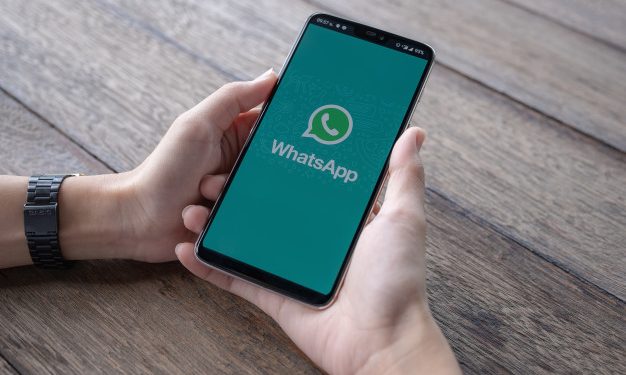 ‘Truque’ no WhatsApp recupera mensagens apagadas; veja como