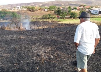 Incêndio em área de vegetação em Várzea Alegre é controlado após duas horas