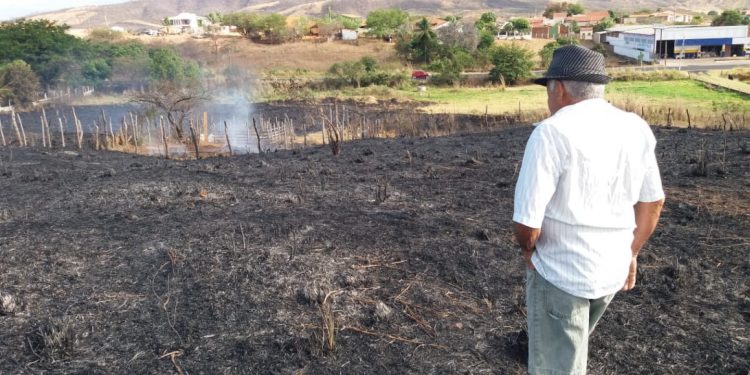 Incêndio em área de vegetação em Várzea Alegre é controlado após duas horas