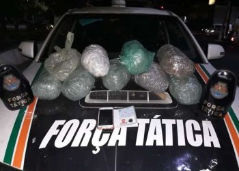 8 kg de maconha e um aparelho celular foram apreendidos pela força tática da Polícia Civil de Juazeiro do Norte (Foto: Reprodução)