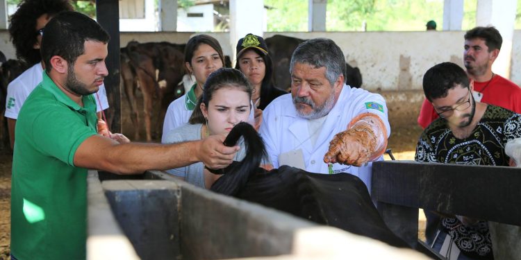IFCE Crato promove I Simpósio de Zootecnia do Cariri
