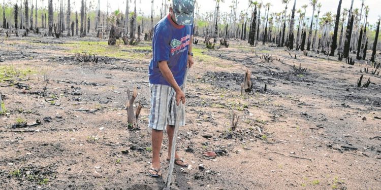 Número de cidades do CE a aderirem ao Garantia-Safra mais que triplica