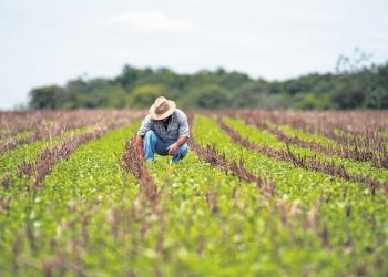 ITR 2019: Programa gerador já está disponível para declaração; veja onde fazer em Crato