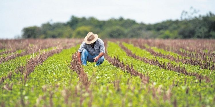 ITR 2019: Programa gerador já está disponível para declaração; veja onde fazer em Crato