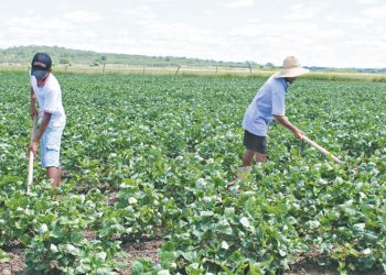 Mais de 150 mil cearenses devem declarar título de propriedade rural