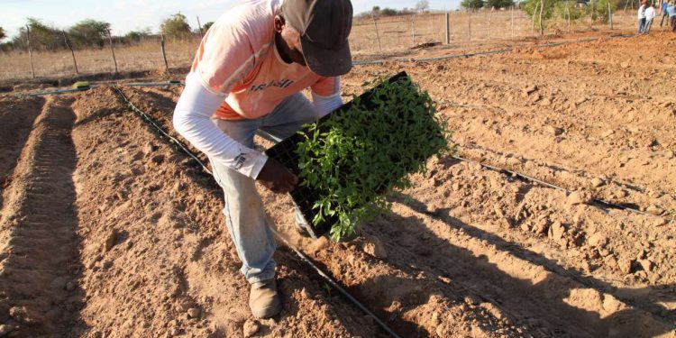 Crato recebe encontro regional do Garantia Safra