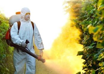 A calibrina da Morte – Por Sandro Leonel