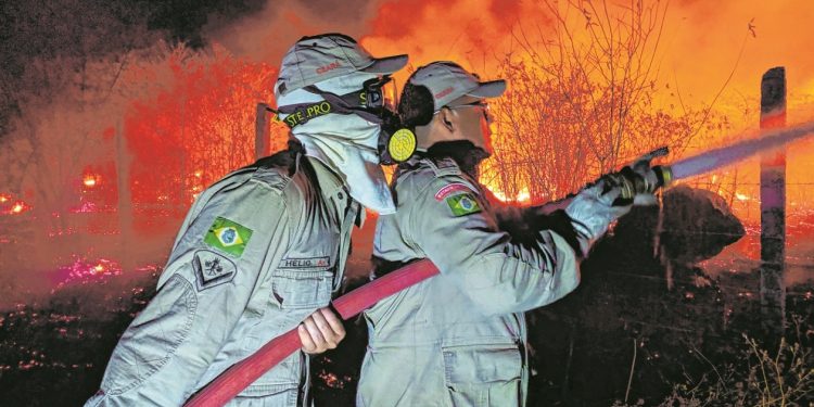 Incêndios florestais se multiplicam no interior do CE
