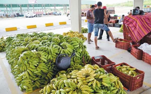 Boa safra garante preços convidativos de frutas no Cariri
