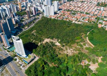 Ceará preserva apenas 7,4% de toda a Mata Atlântica que já teve, mas é o estado que menos desmata