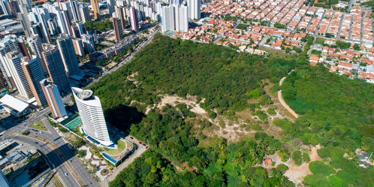 Ceará preserva apenas 7,4% de toda a Mata Atlântica que já teve, mas é o estado que menos desmata