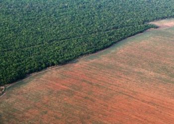 Ministério alemão diz que vai suspender investimento de R$ 155 milhões na Amazônia