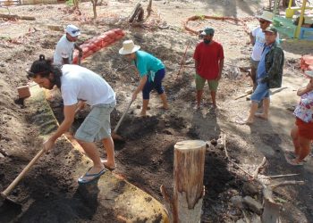 Inscrições para o Curso de Design em Permacultura estão abertas até 31 de agosto