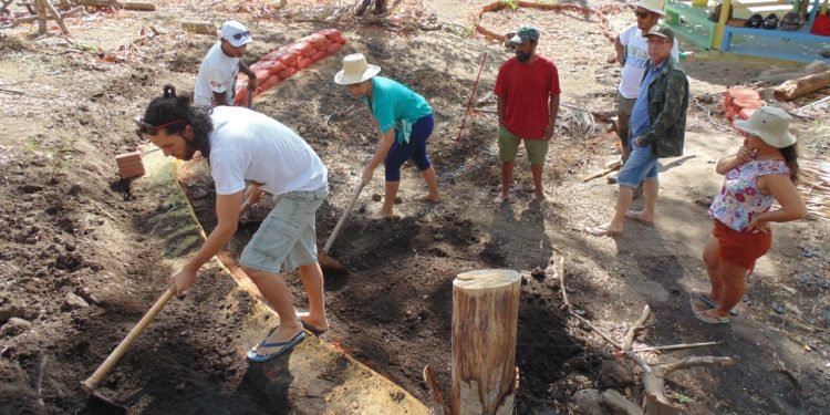 Inscrições para o Curso de Design em Permacultura estão abertas até 31 de agosto