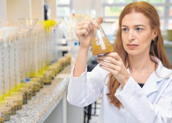 Bolsas do CNPq no CE podem não ser pagas por falta de verba