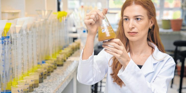 Bolsas do CNPq no CE podem não ser pagas por falta de verba