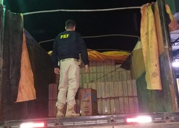 20 mil pacotes de cigarros foram encontrados no interior do caminhão (Foto: PRF/Divulgação)