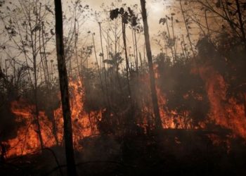 Ministério da Economia libera R$ 38,5 milhões para combater queimadas