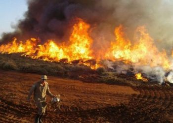 Queimadas disparam, mas multas do Ibama despencam sob Bolsonaro