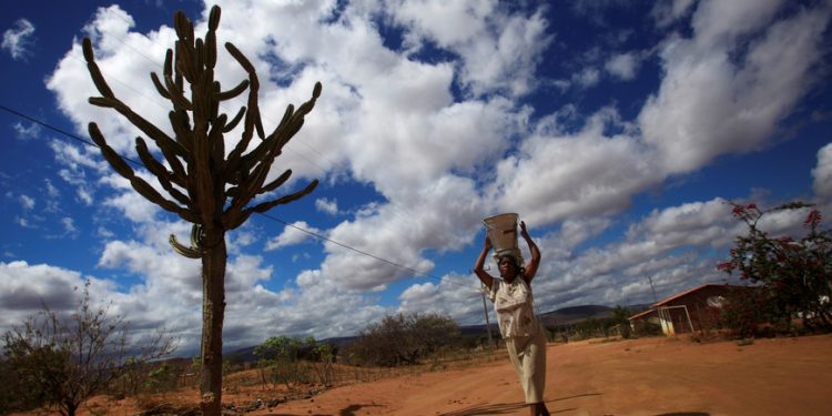 Os muares e o conceito de água pra que te quero – Por Sandro Leonel