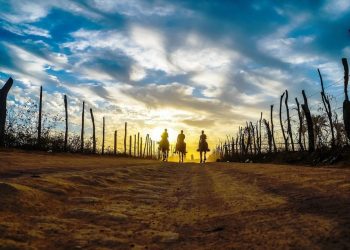 Somos todos paraíba – Por J. Flávio Vieira