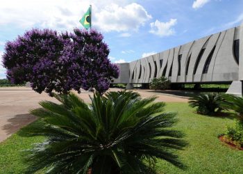 INSS deve pagar por afastamento de vítima de violência doméstica, decide STJ