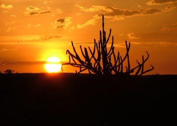 Amanhece – Por J. Flávio Vieira