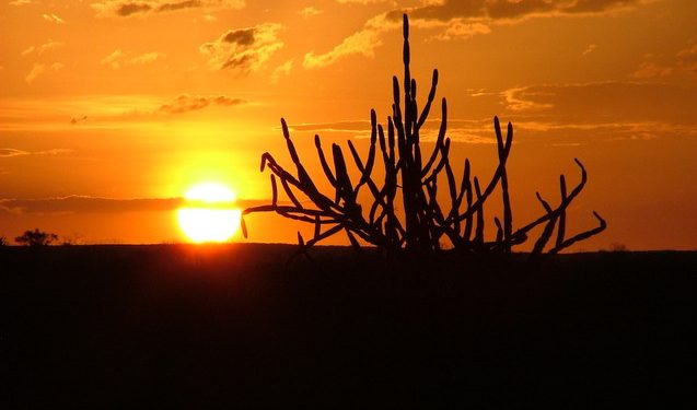 Amanhece – Por J. Flávio Vieira