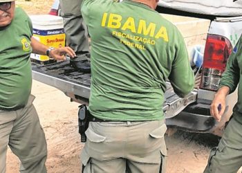 Número de autuações do Ibama, em 2018, é o menor em 10 anos