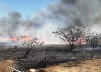 Número de focos de incêndio em setembro é quatro vezes maior comparado a agosto