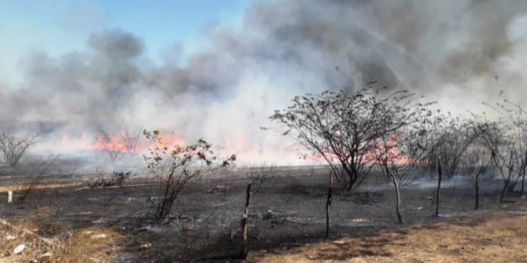 Número de focos de incêndio em setembro é quatro vezes maior comparado a agosto