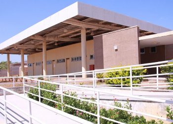 Cursos de Medicina Veterinária e Pedagogia serão ofertados pela UFCA a partir de 2020