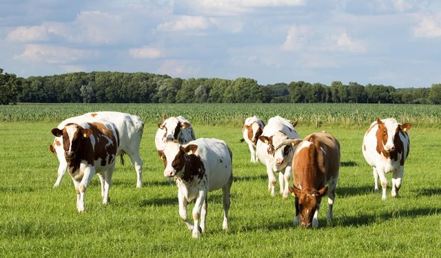 Crato recebe evento voltado para a agropecuária