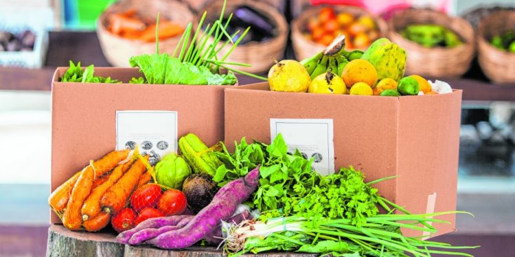 Entenda como uma alimentação saudável pode ajudar na prevenção de doenças