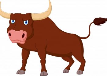 O boi de João Martins – Por J. Flávio Vieira