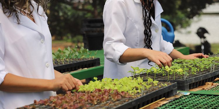 UFCA abre seleção para Mestrado em Desenvolvimento Regional Sustentável