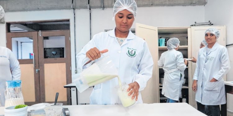 Projetos universitários no Cariri maximizam utilização de frutos nativos
