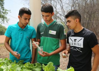 IFCE Crato oferta 20 vagas para curso de hidroponia