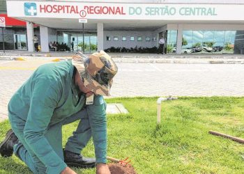 Em Quixeramobim, o composto orgânico está sendo utilizado para adubar as plantas (Foto: Alex Pimentel)