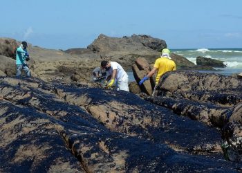 Voluntários dedicam tempo livre e arriscam a própria saúde para limpar praias no Ceará